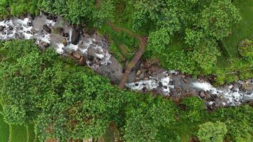 Mountain emerald river with stone coast and forest - strong stream with twists of crystal clear mountain river. Aerial drone top down view at summer sunny day photo