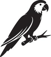 Parrot on tree branch silhouette illustration. vector
