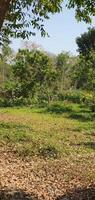 Village natural view horizon photo