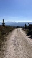 Mountain hiking trail, road in the mountains in spring with remnants of snow. photo