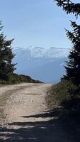 Mountain hiking trail, road in the mountains in spring with remnants of snow. photo