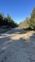 Mountain hiking trail, road in the mountains in spring with remnants of snow. photo