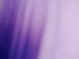 blurred abstract gradient purple background photo