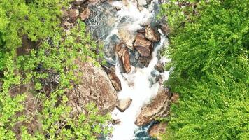 Aerial top down view river in tropical jungle video