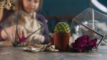 Succulent plant is placed in a pot on a table in the workshop. The craftswomen collects the florium, and for this, she takes a bright purple dried flower from the front and uses it to create a beautiful art object. Close up. Slow motion. 4k video