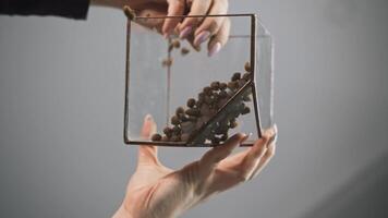 Close-up of hands pouring expanded clay into a square, decorative glass mold for a florarium, on an abstract, white background. Bottom view. Close up. 4k. Slow motion video