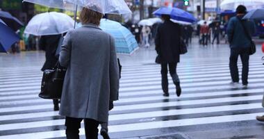 a piedi persone corpo parti a il attraversamento nel Shinjuku tokyo piovoso giorno video