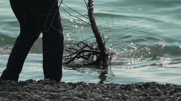 basura en playa - mayor hombre recoge basura en playa después tormenta, mantener limpieza y conservación ambiente. video