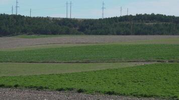 ein Frühling Landwirtschaft Feld mit üppig Gras mit ein wenige Bäume im das Hintergrund. das Himmel ist wolkig und das Sonne ist nicht sichtbar video