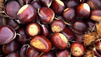 Chestnuts as background video