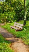 área de descanso en el sendero para caminar del valle video