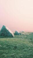 alpine meadow with rocks and green grass video