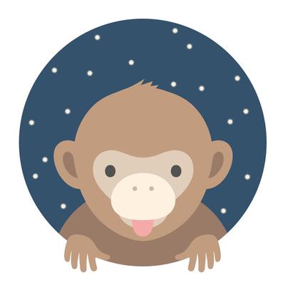 Animal set. Portrait in flat graphics - Monkey. illustration.