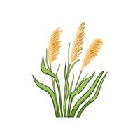 grass lake plant cartoon illustration vector