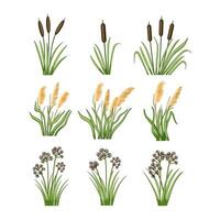 lake plant set cartoon illustration vector