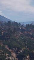 Tatras Mountains covered by green pine forests video