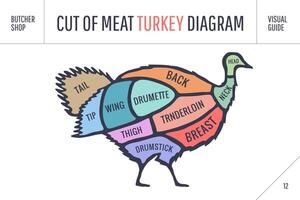 cortar de carne colocar. póster Carnicero diagrama, esquema - Turquía vector