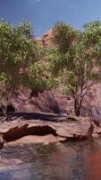 Colorado rivier met prachtige zandstenen muren en canyons video