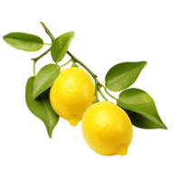 Zesty Lemon Cluster Tangy Citrus Perfection Cut Out png