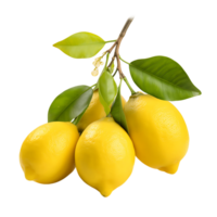 Fresh Lemon Tree Crisp Citrus Perfection Unveiled png