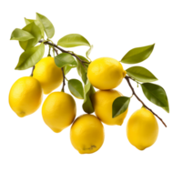 saporito Limone albero delizioso agrume Schermo png