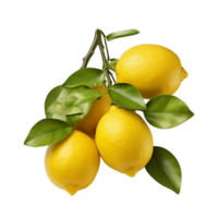 mogen citron- skörda vibrerande citrus- frikostighet avtäckt png