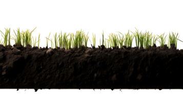 Essential Garden Nutrients Dark Soil Cut Out png