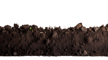 verrijkt tuin aarde zwart bodem besnoeiing uit png