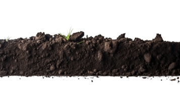 organisk trädgårdsarbete grundläggande svart jord skära ut png