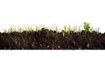 Natural Soil Enrichment Dark Soil Cut Out png