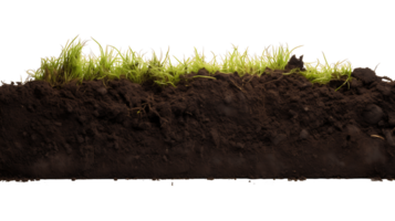 Vital Soil Nutrients Dark Earth Cut Out png