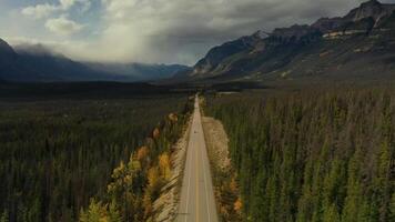 Aerial view of the Icedield Park way in autumn. video