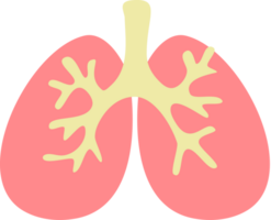 Flat human organ lung cartoon illustration png