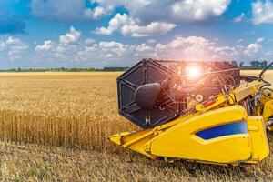 Summer wheat harvesting. Working rye harvester combine machines on gold wheat fields. Harvesters on gold wheat fields. Agricultural landscape ripe wheat harvesting photo