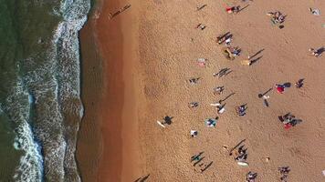 Drohne Schwenken Über Menge auf sandig Strand beim Strand während Sommer- video