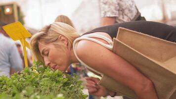 kvinna lukta mynta växter på mataffär under dagtid video