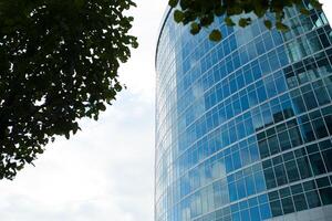 Skyscrapers with glass windiws wall against blue sky view through trees photo