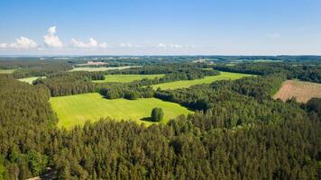 ver desde el altura de el verde campo y el bosque cerca minsk.belarus.naturaleza de bielorrusia foto