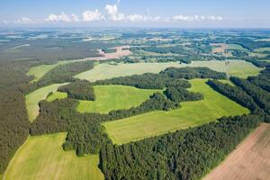 ver desde el altura de el verde campo y el bosque cerca minsk.belarus.naturaleza de bielorrusia foto