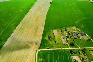 top view of a sown green field and a small village in Belarus. Agricultural fields in the village.Spring sowing in a small village photo