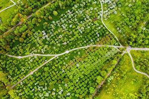 View from the height of the loshitsky Park in Minsk.Winding paths in loshitsky Park.Belarus.Apple orchard photo