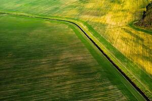 Bird's-eye view of a green field .Sowing campaign in Belarus.Nature Of Belarus.Own green field at sunset photo