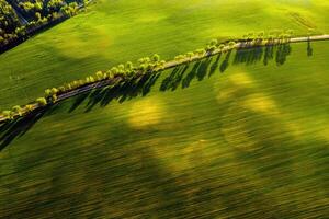 A bird's-eye view of a green field and a road in Europe.Nature Of Belarus.Own green field at sunset and road photo