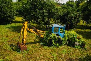 An old tractor with a bucket, abandoned from a green garden photo