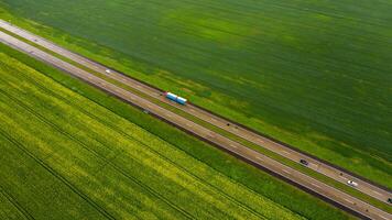 Top view of the sown green in Belarus.Agriculture in Belarus.Texture photo