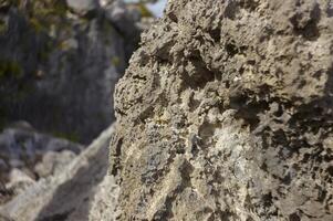 Limestone rock of the Caribbean coast of Mexico photo