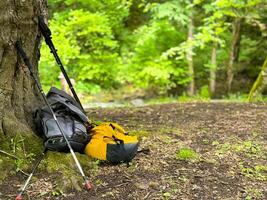 Yellow and gray hiking backpacks and trekking poles leaning against tree in forest. Outdoor adventure and camping gear in natural setting. Concept of hiking and overnight stays in forest. photo