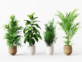 Potted plants isolated on white background. Collection of various houseplants in pots. Plant decoration, home gardening, and clean air concept for design and advertising. Ai generation photo