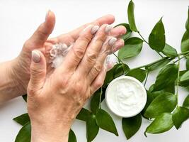 Close up of middle age woman hands applying hand cream with green leaves on white background. Skincare and natural beauty concept. For healthcare, wellness, and organic product poster. photo