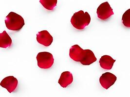 Scattered red rose petals isolated on white background. Flat lay, top view. Romantic concept for design and decoration. Can be used for romantic event decorations, wedding invitations, greeting cards photo